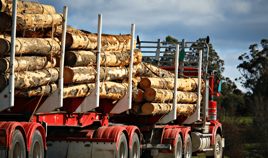 TIMBER HARVESTING